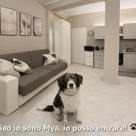 Casa Mya