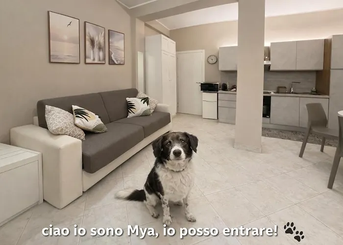 Casa Mya